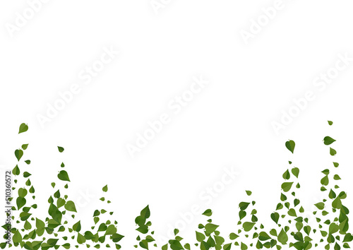 Green Foliage Ecology Vector White Background