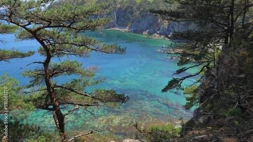 View from the pine grove on an amazing turquoise sea in marine reserve. Unique nature in stunning seascape. photo