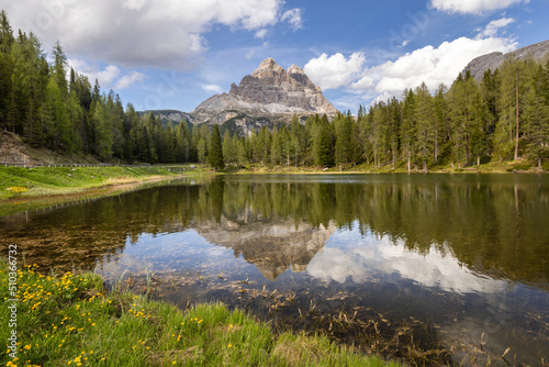Fototapeta Naklejka Na Ścianę i Meble -  The three peaks of Lavaredo reflected on the D'Antorno lake surrounded by a wood of pine trees, under a blue sky with puffy clouds