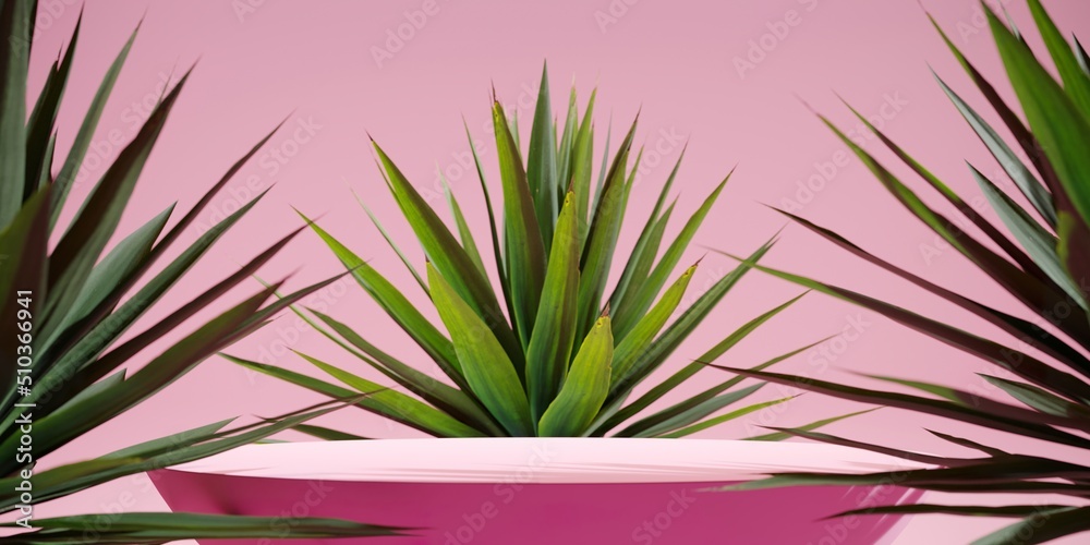Fototapeta premium Pink round product display close up with agave plant on pastel background. 3d rendering