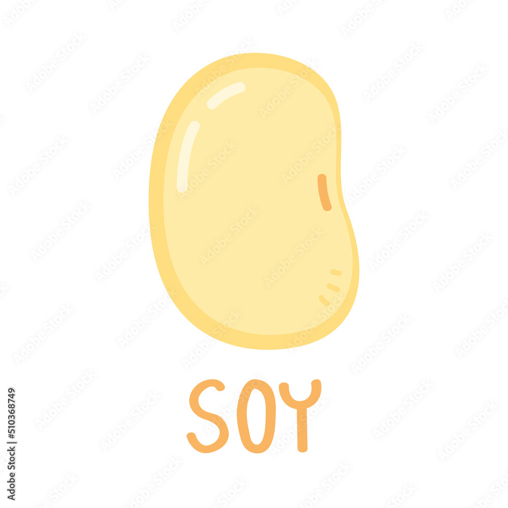 Soybean vector. Soybean on white background. free space for text. Soybean vector. Soybean on white background. free space for text.
