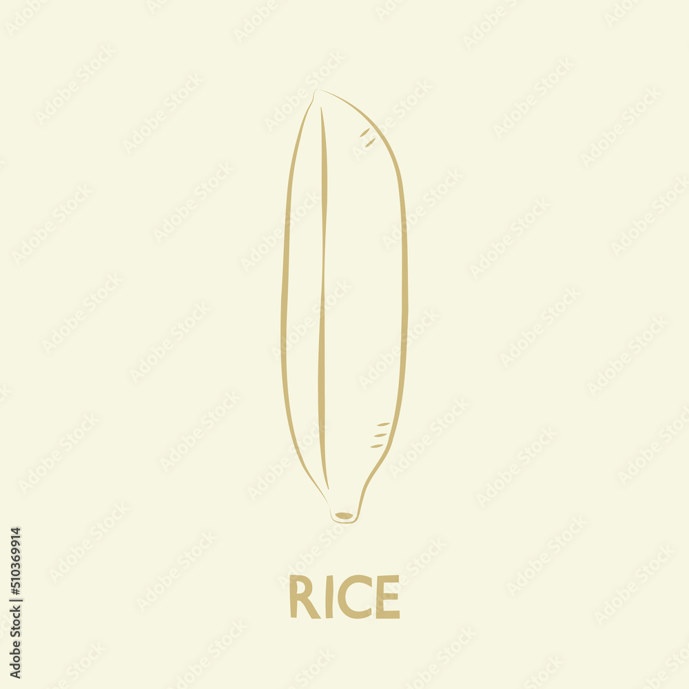 Rice vector. rice symbol. rice logo design.