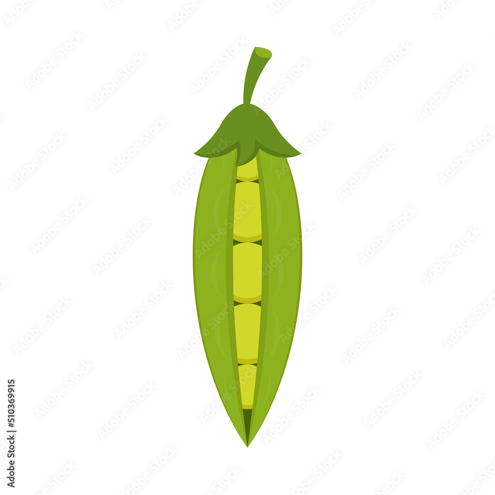 Green peas vector on white background. Green peas vector on white background.