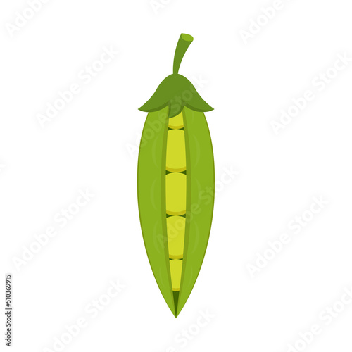 Green peas vector on white background.