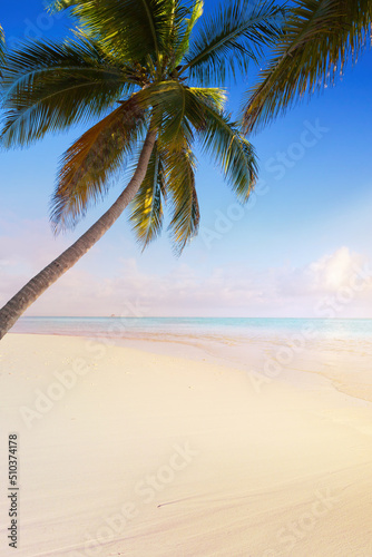 Fototapeta Naklejka Na Ścianę i Meble -  beautiful summer tropical holiday background; suny sandy beach, palm tree and sunset sea sky