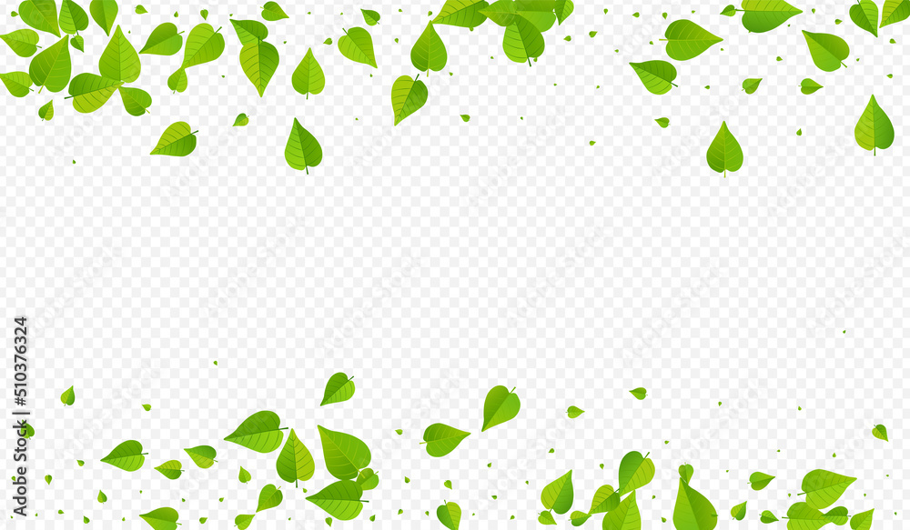 Forest Leaves Swirl Vector Transparent Background
