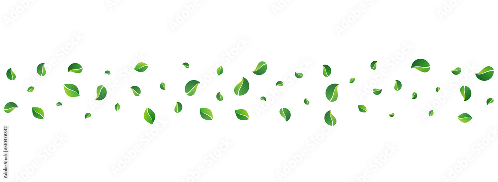 Swamp Leaf Forest Vector Panoramic White Swamp Leaf Forest Vector Panoramic White