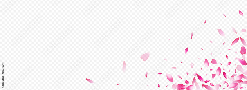 Color Blossom Vector Panoramic Transparent