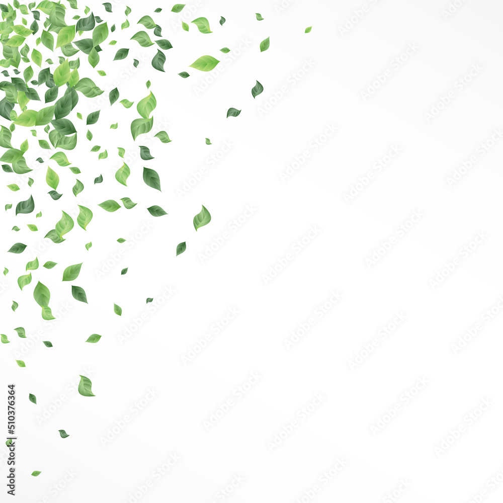 Swamp Leaves Motion Vector White Background Swamp Leaves Motion Vector White Background
