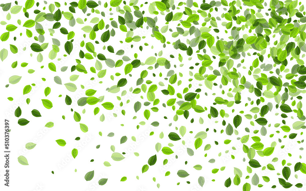 Green Greens Tea Vector Design. Motion Leaves