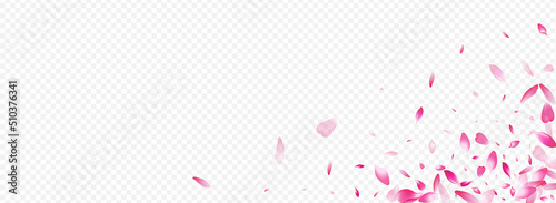 Color Blossom Vector Panoramic Transparent