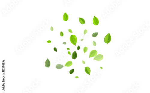 Grassy Leaf Ecology Vector Background. Motion