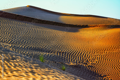 Rub al Khali aka Empty Quarter Desert, Oman. photo