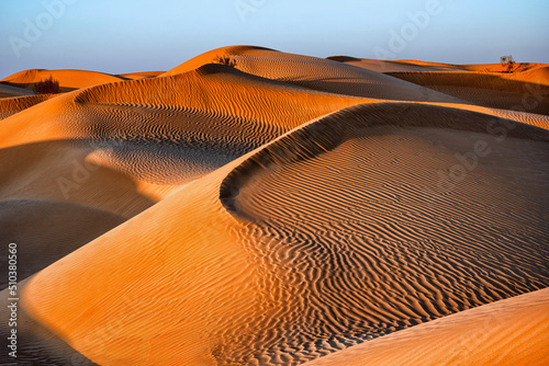 Rub al Khali aka Empty Quarter Desert, Oman. photo