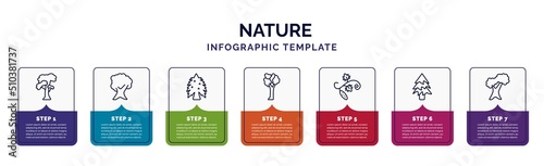 infographic template with icons and 7 options or steps. infographic for nature concept. included slippery elm tree, butternut tree, eastern hemlock tree, american elm cucumber balsam fir northern