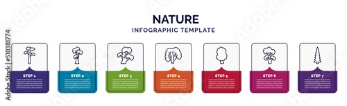 infographic template with icons and 7 options or steps. infographic for nature concept. included pitch pine tree, shagbark hickory tree, bitternut hickory tree, american hornbeam sassafras black photo