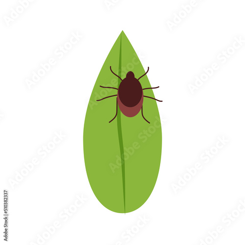 Mite on the leaf. Flat vector illustration, mite hiding in the grass, tick-borne insect.
