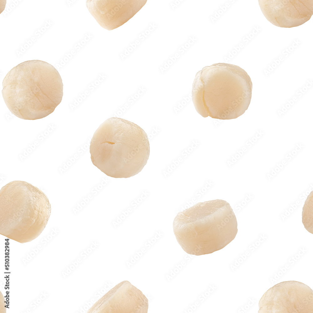 Scallop isolated on white background, SEAMLESS, PATTERN