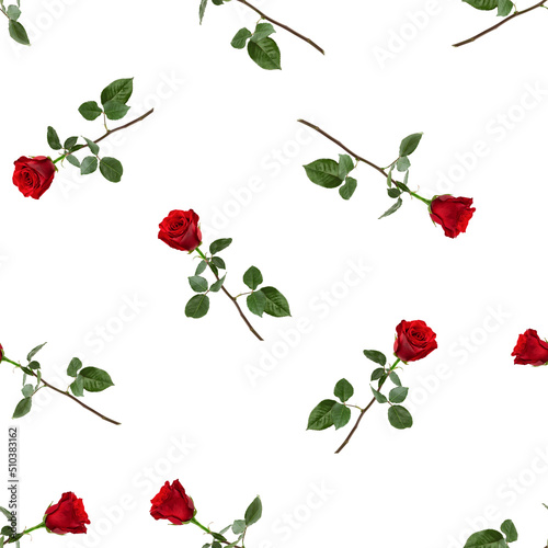 Roses isolated on white background, SEAMLESS, PATTERN