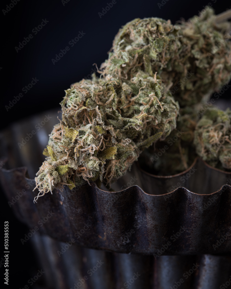 Cannabis buds dried and trimmed. Marijuana buds photographed in natural light. Close up with lots of detail. 