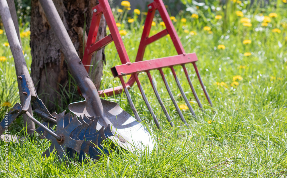 Gardening tools. Garden tools on the background of a garden in green grass. Summer work tool. Shovel, fork and baking powder stacked in the garden outside. The concept of gardening tools.