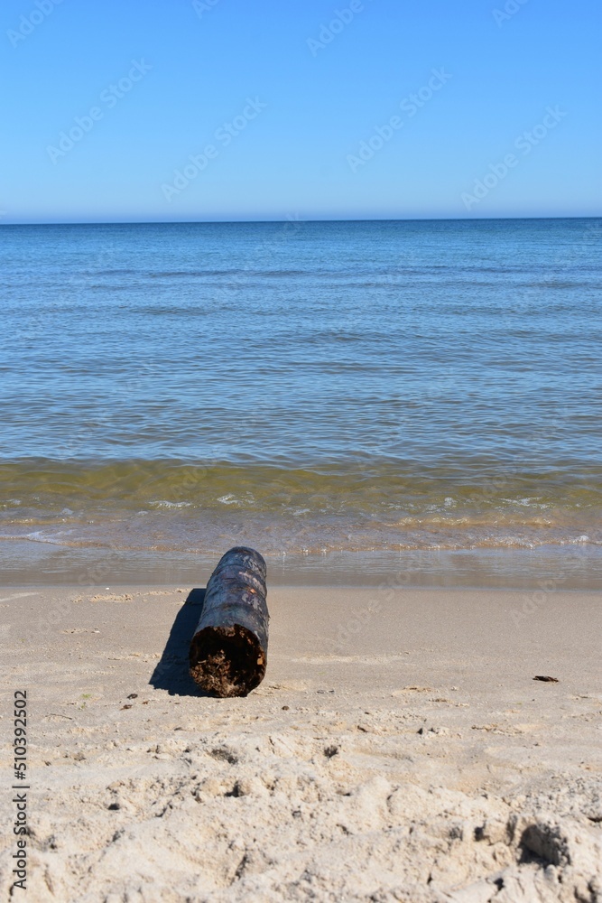 Ostsee - Polen - Wasser - Vögel - Holzstämme - Strand Ostsee - Polen - Wasser - Vögel - Holzstämme - Strand