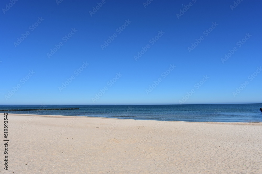 Ostsee - Polen - Wasser - Vögel - Holzstämme - Strand Ostsee - Polen - Wasser - Vögel - Holzstämme - Strand