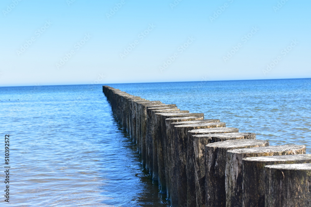 Fototapeta premium Ostsee - Polen - Wasser - Vögel - Holzstämme - Strand