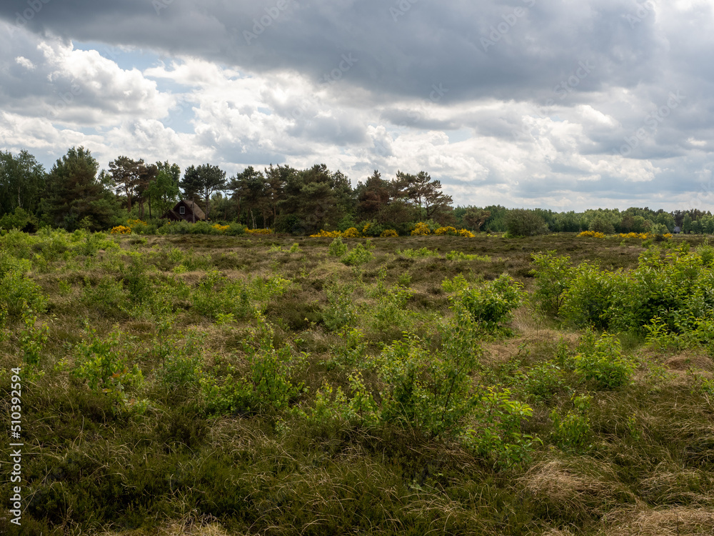 Obraz premium Landschaft