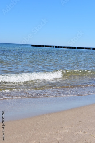 Ostsee - Polen - Wasser - Vögel - Holzstämme - Strand