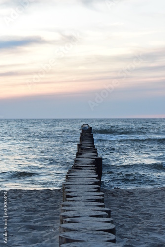 Ostsee - Polen - Möven - Wasser - Strand