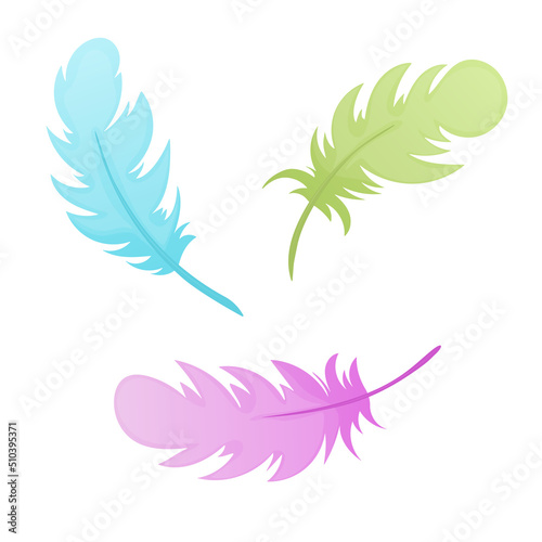 Colored feathers on white background. Vector illustration