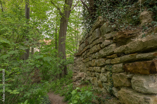 Alte dicke Mauern aus dem Mittelalter und viel frisches grün. Die Mauer gehört zu den Resten der Burg Wohldenberg auf dem Donnerberg