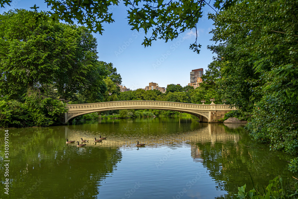 Bow bridge in late spring