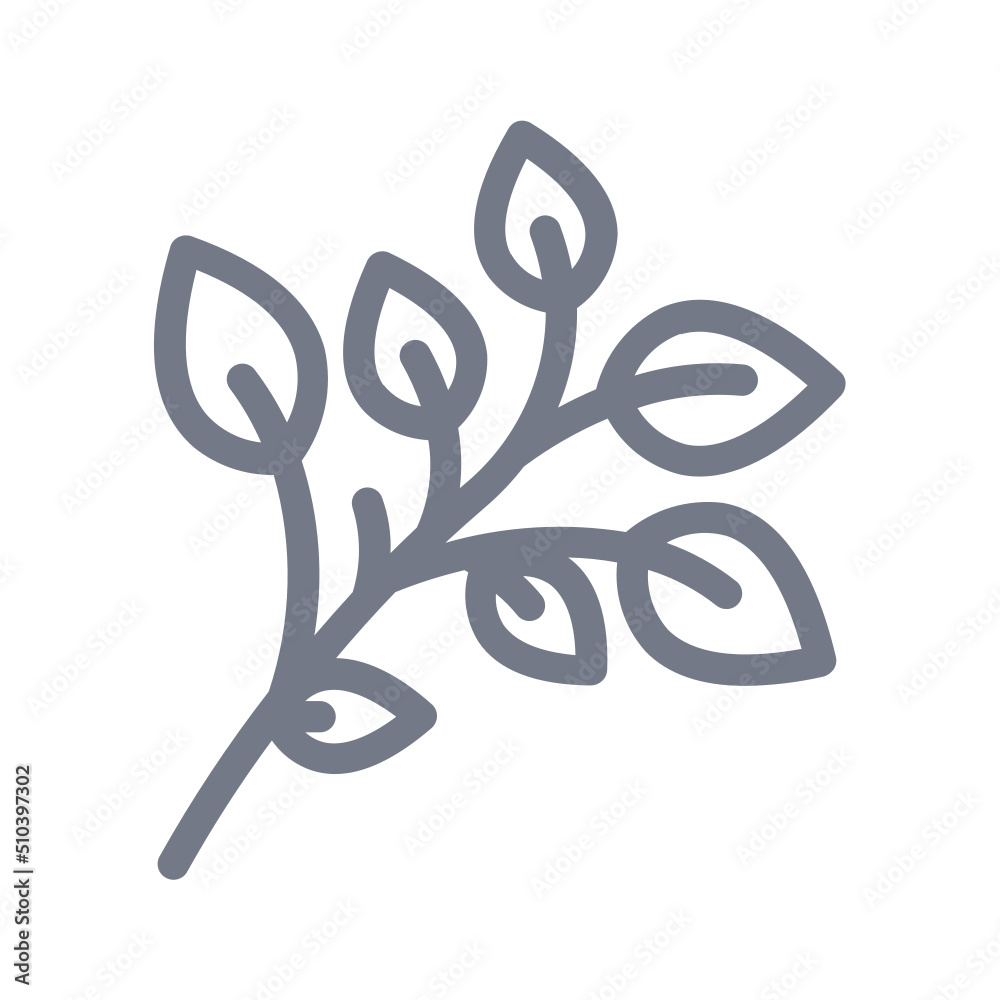 Branches Branches
