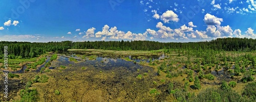 Panorama from the drone to the backwater of the Wyzary Sianozatko