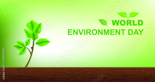 world environment day, background with green plant.