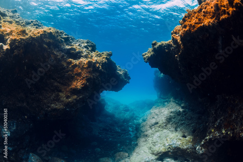 Underwater view with reef or rocks in blue ocean
