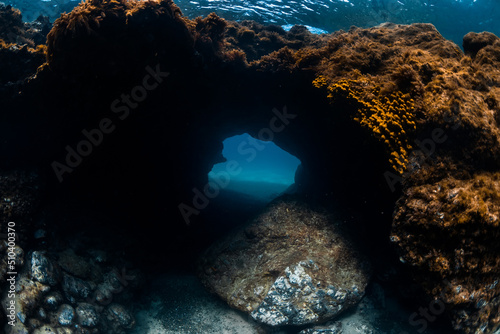 Fototapeta Naklejka Na Ścianę i Meble -  Underwater cave and reef with corals in blue ocean
