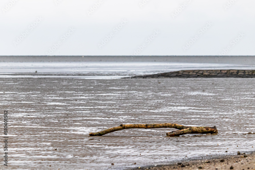 Close-up view of the cuxhaven wadden sea beach at low tide Close-up view of the cuxhaven wadden sea beach at low tide