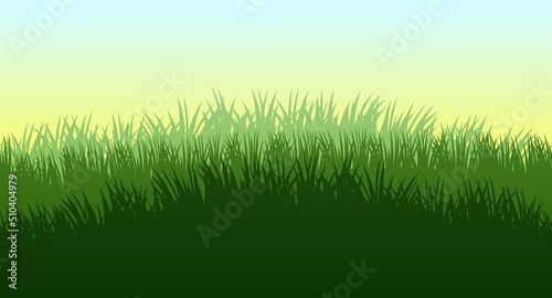 Grass. Nature rural landscape. The pasture is overgrown. Overgrown dense lawn. Horizontal seamless illustration. Vector