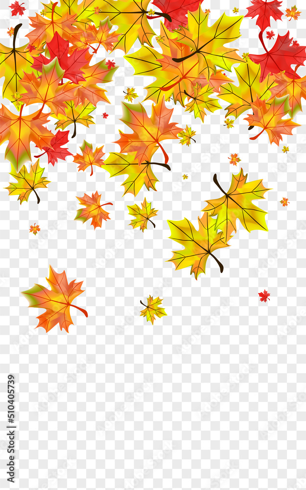 Brown Foliage Background Transparent Vector. Floral Ground Illustration. Golden September Leaves. Celebrate Leaf Frame.