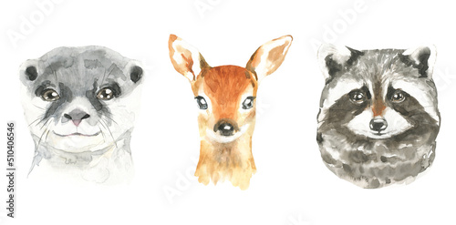 Watercolor woodland animal set of forest otter,deer,raccoon, isolated cute animals. Nursery woodland illustration. Bohemian boho animals for baby shower, nursery print, decor, greeting card