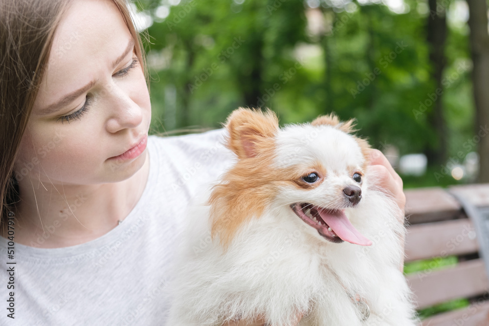 Young woman sits on a bench in park and holds a fluffy little dog in her arms. Pomeranian puppy with his owner for a walk. Satisfied dog smiles and sticks out his tongue Young woman sits on a bench in park and holds a fluffy little dog in her arms. Pomeranian puppy with his owner for a walk. Satisfied dog smiles and sticks out his tongue