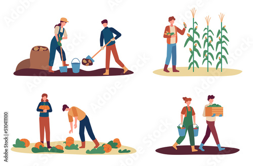 Autumn harvest. Female and male farm workers gathering crops. Man digging up potato, collecting corn. Couple picking up pumpkins