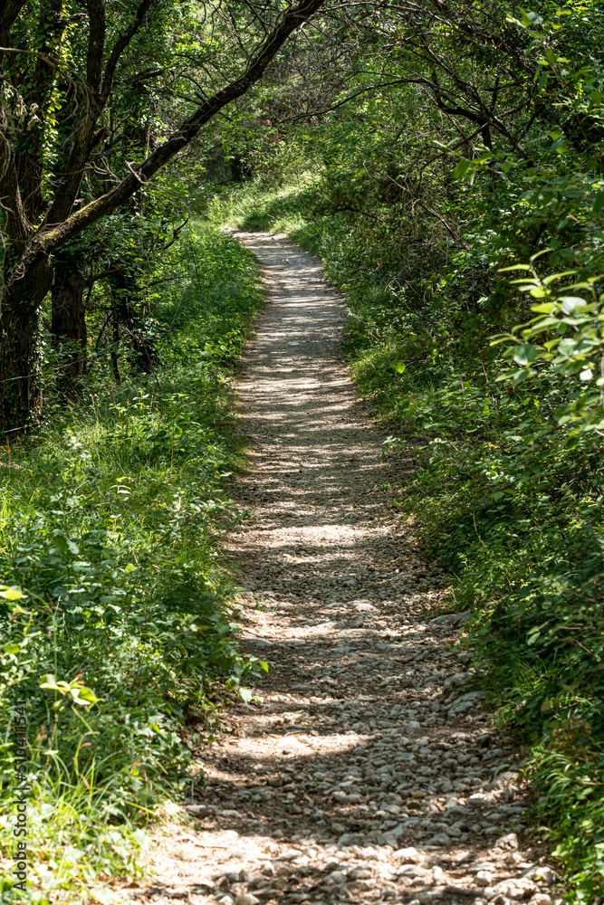 chemin de randonnée