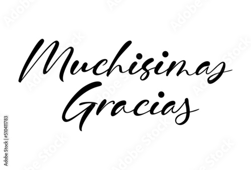 Gracias calligraphy spain text. Hand lettering spanish word thank you. Lettering postcard design in script style. Vector isolated illustration