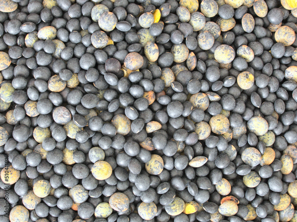 Black lentil close-up (macroscopic photo) - Texture background - Food