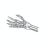 finger bone illustration, human anatomy, vector art.