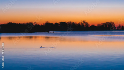 A duck swims in the bay at sunrise